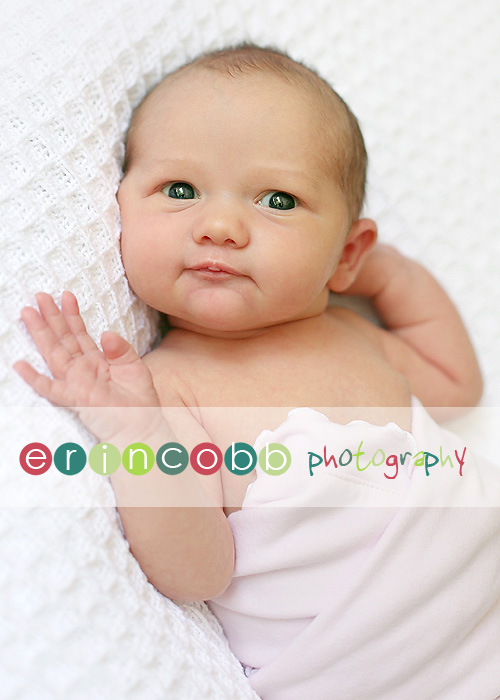 huntsville-baby-photographer-4 huntsville-baby-photographer-4