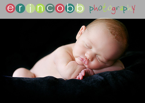 huntsville-child-photographer-3 huntsville-child-photographer-3