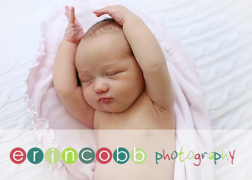 huntsville-newborn-photographer1 huntsville-newborn-photographer1