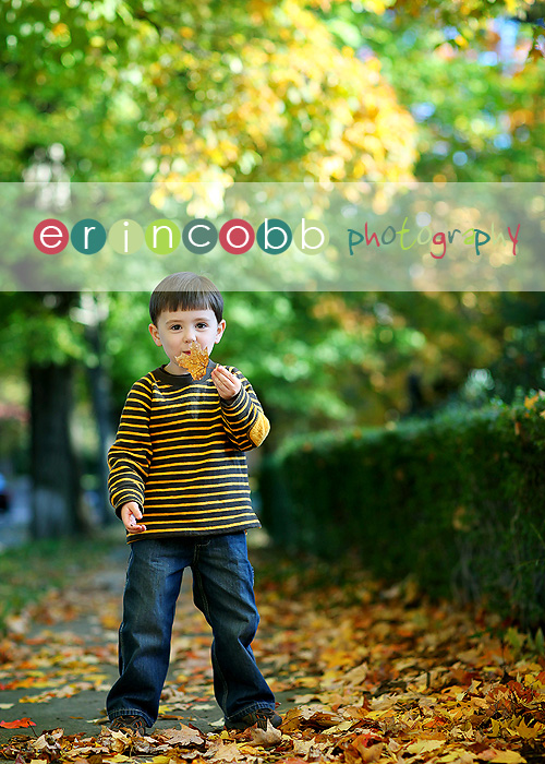 huntsville baby photographer huntsville baby photographer