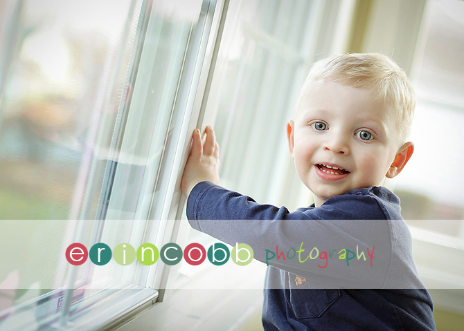 huntsville adoption photographer